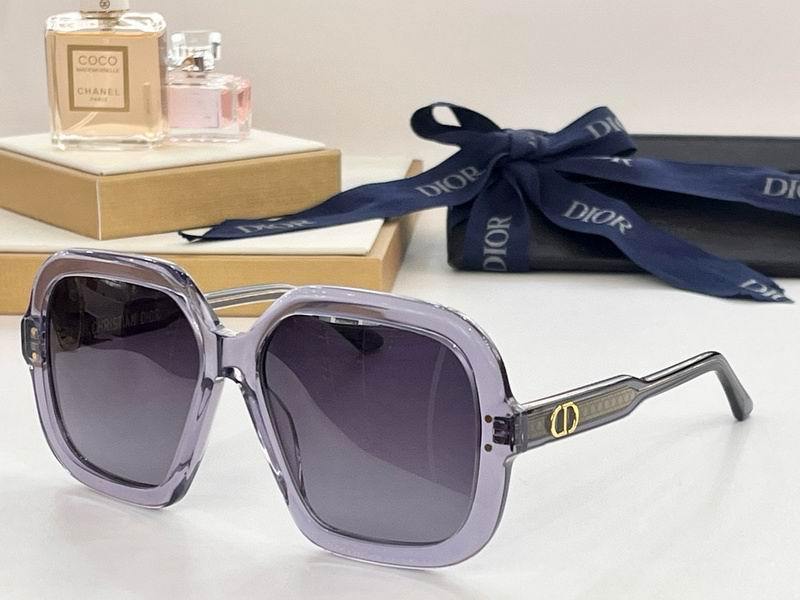 Chanel Sunglasses 1009